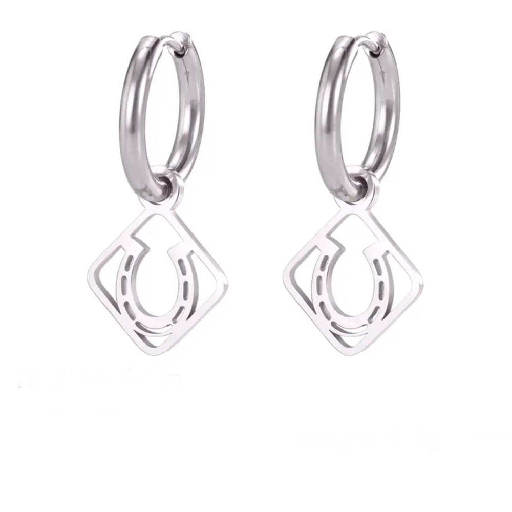 Horseshoe Earrings
